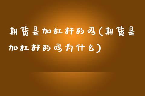 期货是加杠杆的吗(期货是加杠杆的吗为什么)_https://qh.lansai.wang_期货理财_第1张