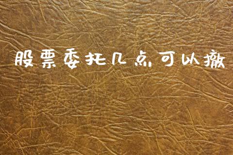 股票委托几点可以撤_https://qh.lansai.wang_新股数据_第1张