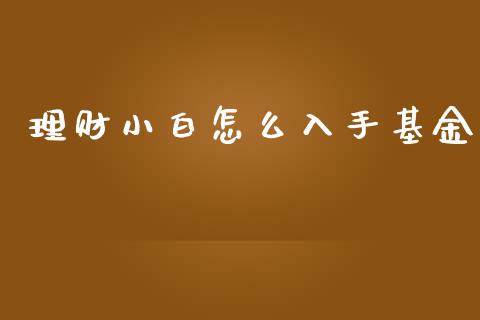 理财小白怎么入手基金_https://qh.lansai.wang_期货理财_第1张