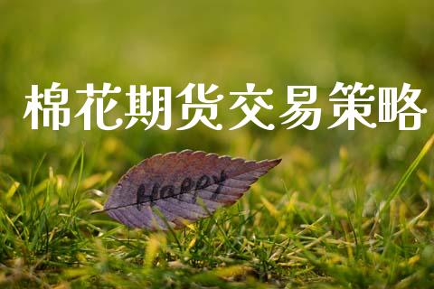 棉花期货交易策略_https://qh.lansai.wang_海康威视股票_第1张