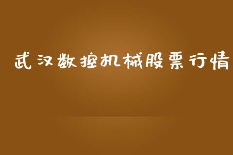 武汉数控机械股票行情_https://qh.lansai.wang_期货怎么玩_第1张