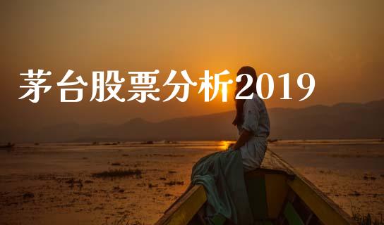 茅台股票分析2019_https://qh.lansai.wang_期货理财_第1张