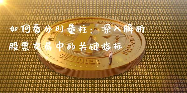 如何看分时量柱：深入解析股票交易中的关键指标_https://qh.lansai.wang_海康威视股票_第1张