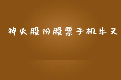 神火股份股票手机牛叉_https://qh.lansai.wang_期货喊单_第1张