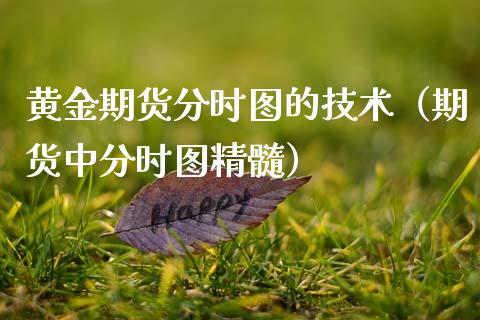 黄金期货分时图的技术（期货中分时图精髓）_https://qh.lansai.wang_期货怎么玩_第1张