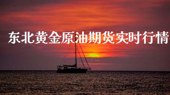 东北黄金原油期货实时行情_https://qh.lansai.wang_期货怎么玩_第1张