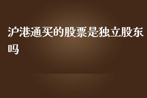 沪港通买的股票是独立股东吗_https://qh.lansai.wang_期货理财_第1张