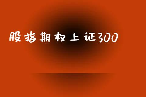 股指期权上证300_https://qh.lansai.wang_期货喊单_第1张