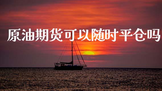 原油期货可以随时平仓吗_https://qh.lansai.wang_期货怎么玩_第1张