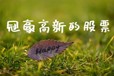 冠豪高新的股票_https://qh.lansai.wang_期货喊单_第1张
