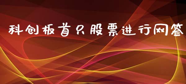 科创板首只股票进行网签_https://qh.lansai.wang_新股数据_第1张