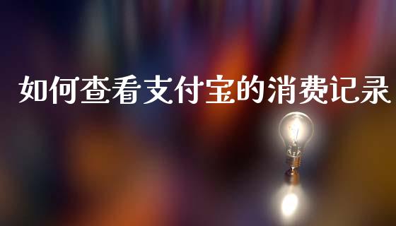如何查看支付宝的消费记录_https://qh.lansai.wang_期货怎么玩_第1张