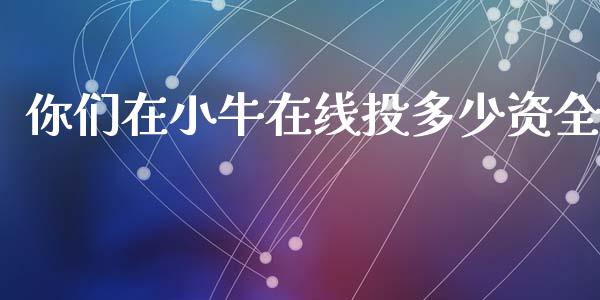 你们在小牛在线投多少资全_https://qh.lansai.wang_股票新闻_第1张