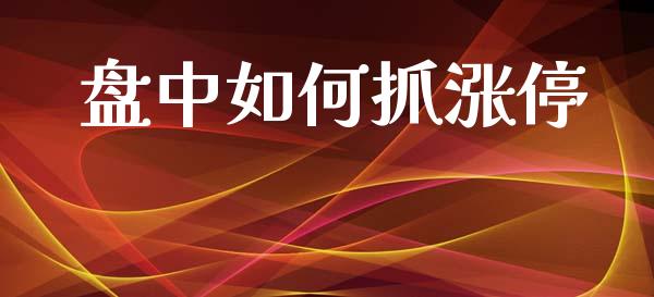 盘中如何抓涨停_https://qh.lansai.wang_海康威视股票_第1张