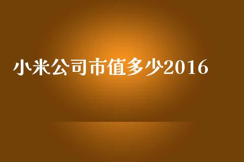 小米公司市值多少2016_https://qh.lansai.wang_新股数据_第1张