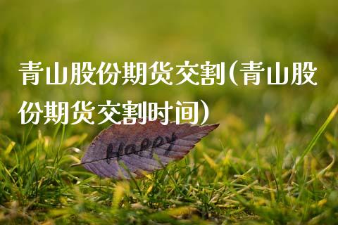青山股份期货交割(青山股份期货交割时间)_https://qh.lansai.wang_期货怎么玩_第1张