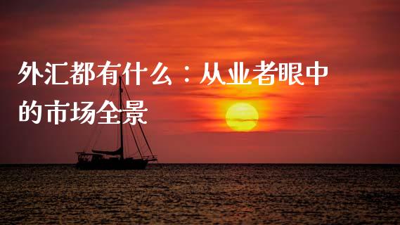 外汇都有什么：从业者眼中的市场全景_https://qh.lansai.wang_期货理财_第1张