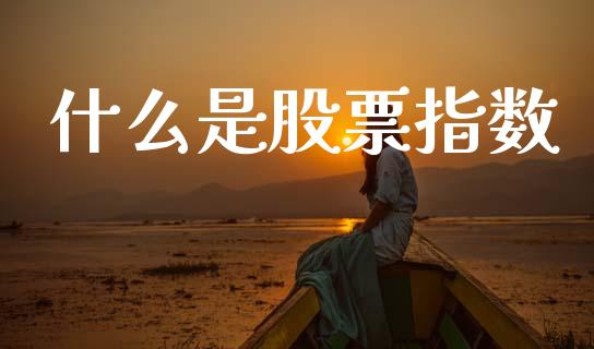 什么是股票指数_https://qh.lansai.wang_新股数据_第1张