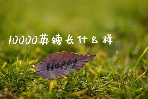 10000英镑长什么样_https://qh.lansai.wang_股票新闻_第1张