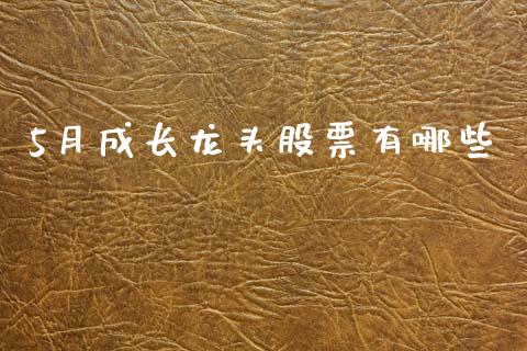 5月成长龙头股票有哪些_https://qh.lansai.wang_期货怎么玩_第1张
