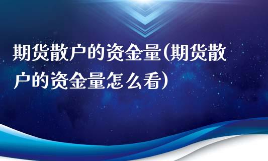 期货散户的资金量(期货散户的资金量怎么看)_https://qh.lansai.wang_期货怎么玩_第1张