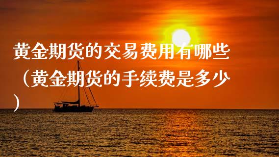 黄金期货的交易费用有哪些（黄金期货的手续费是多少）_https://qh.lansai.wang_期货怎么玩_第1张