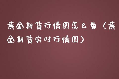 黄金期货行情图怎么看（黄金期货实时行情图）_https://qh.lansai.wang_期货理财_第1张