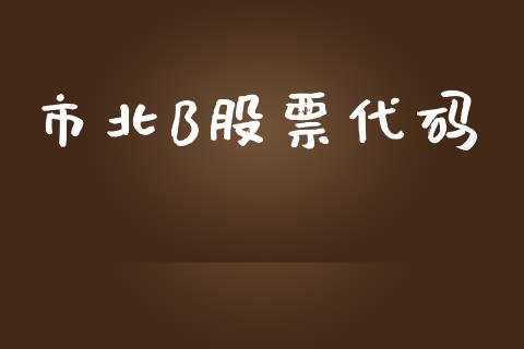 市北B股票代码_https://qh.lansai.wang_期货理财_第1张