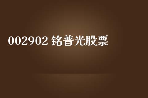 002902 铭普光股票_https://qh.lansai.wang_新股数据_第1张