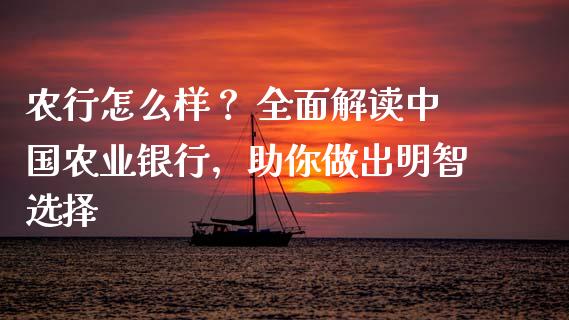 农行怎么样？ 全面解读中国农业银行，助你做出明智选择_https://qh.lansai.wang_期货怎么玩_第1张