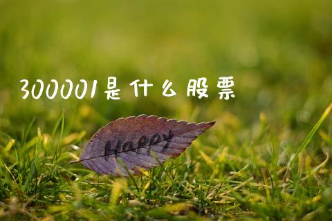 300001是什么股票_https://qh.lansai.wang_新股数据_第1张