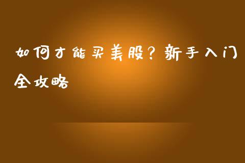 如何才能买美股？新手入门全攻略_https://qh.lansai.wang_期货怎么玩_第1张