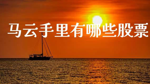 马云手里有哪些股票_https://qh.lansai.wang_新股数据_第1张