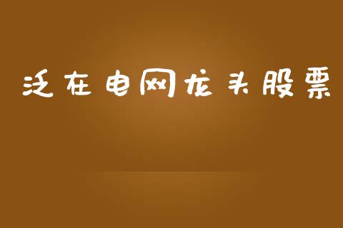 泛在电网龙头股票_https://qh.lansai.wang_期货理财_第1张