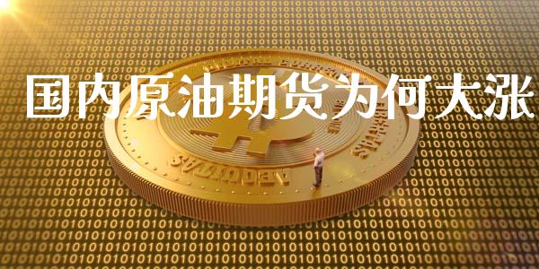 国内原油期货为何大涨_https://qh.lansai.wang_期货怎么玩_第1张