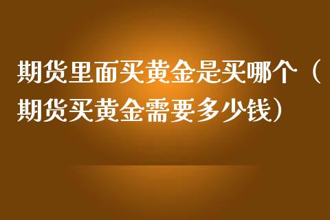 期货里面买黄金是买哪个（期货买黄金需要多少钱）_https://qh.lansai.wang_期货理财_第1张