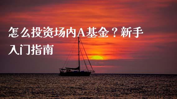 怎么投资场内A基金？新手入门指南_https://qh.lansai.wang_期货怎么玩_第1张