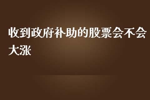 收到政府补助的股票会不会大涨_https://qh.lansai.wang_期货喊单_第1张