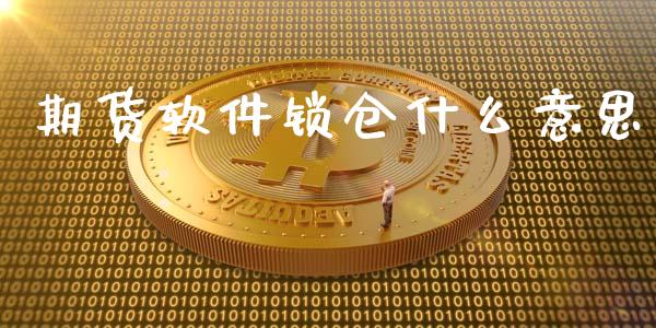 期货软件锁仓什么意思_期货怎么玩_第1张_起点期货网 期货软件锁仓什么意思_https://qh.lansai.wang_期货怎么玩_第1张