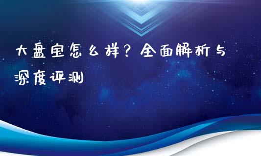 大盘宝怎么样？全面解析与深度评测_https://qh.lansai.wang_期货怎么玩_第1张