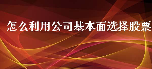 怎么利用公司基本面选择股票_https://qh.lansai.wang_新股数据_第1张