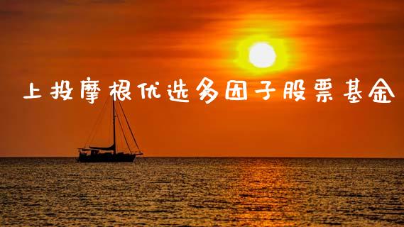 上投摩根优选多因子股票基金_https://qh.lansai.wang_新股数据_第1张