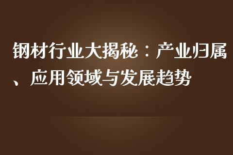 钢材行业大揭秘：产业归属、应用领域与发展趋势_https://qh.lansai.wang_期货理财_第1张