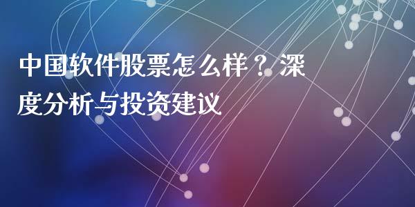 中国软件股票怎么样？ 深度分析与投资建议_https://qh.lansai.wang_海康威视股票_第1张