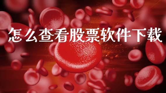 怎么查看股票软件下载_https://qh.lansai.wang_期货理财_第1张