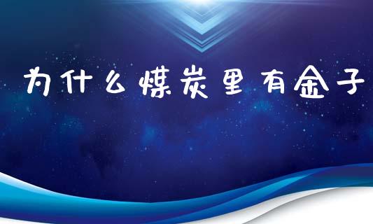 为什么煤炭里有金子_https://qh.lansai.wang_期货理财_第1张