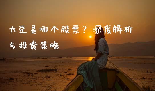 大豆是哪个股票？深度解析与投资策略_https://qh.lansai.wang_股票技术分析_第1张