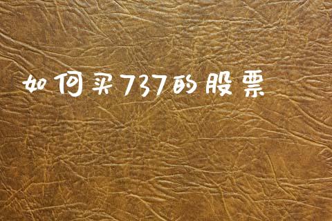 如何买737的股票_https://qh.lansai.wang_期货理财_第1张