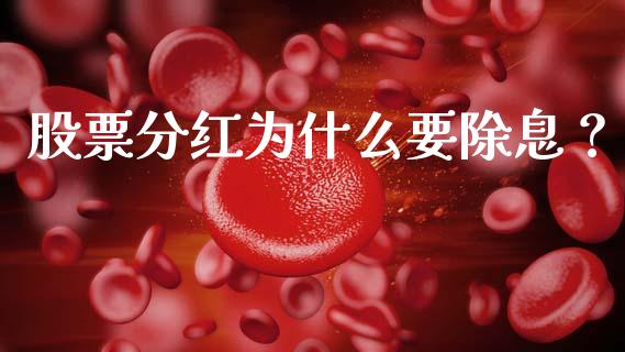 股票分红为什么要除息？_https://qh.lansai.wang_期货怎么玩_第1张