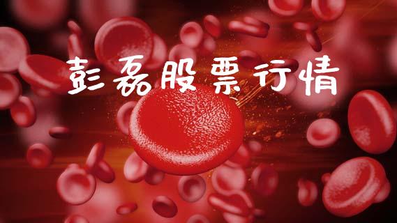彭磊股票行情_https://qh.lansai.wang_新股数据_第1张